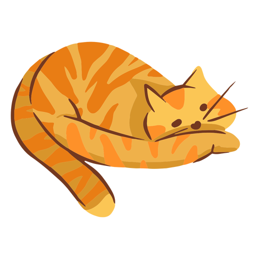 Orange Cat